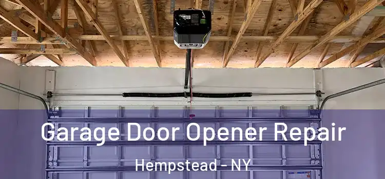  Garage Door Opener Repair Hempstead - NY