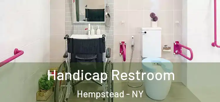 Handicap Restroom Hempstead - NY