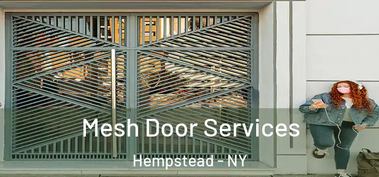Mesh Door Services Hempstead - NY